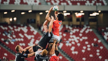 入口-阿根廷大学与国际马术组织合作，成立马术科研中心，推动马术科技进步。