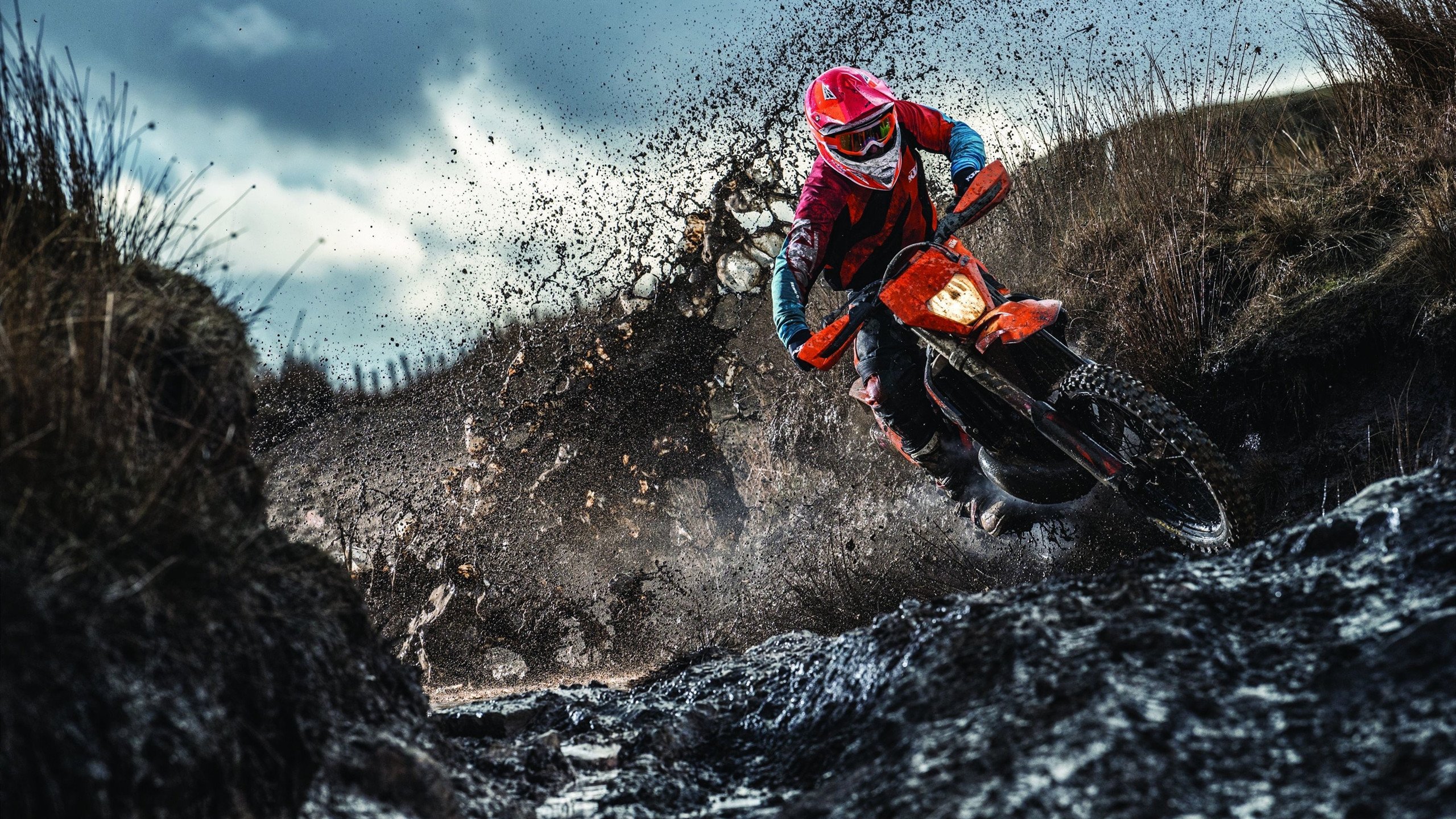 NFL中国观赛人群突破千万，美式橄榄球走红社交平台，nfl美国职业橄榄球